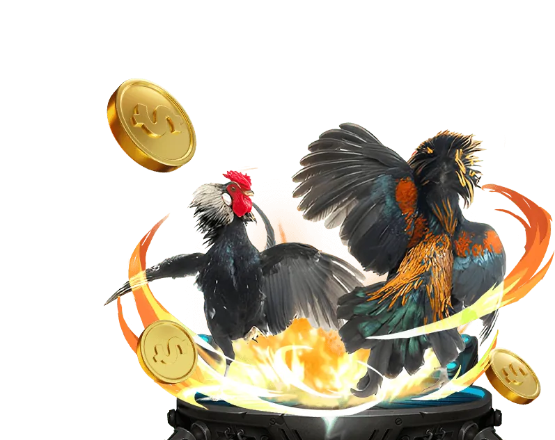 Đá gà và các trò chơi khác tại xx88